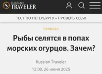 Обзор прессы 2.webp