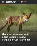 Обзор прессы.webp
